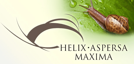 helix-max.eu