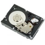 300GB 10K RPM SAS 12Gbps 2.5in Hot-plug Hard Drive,CusKit    